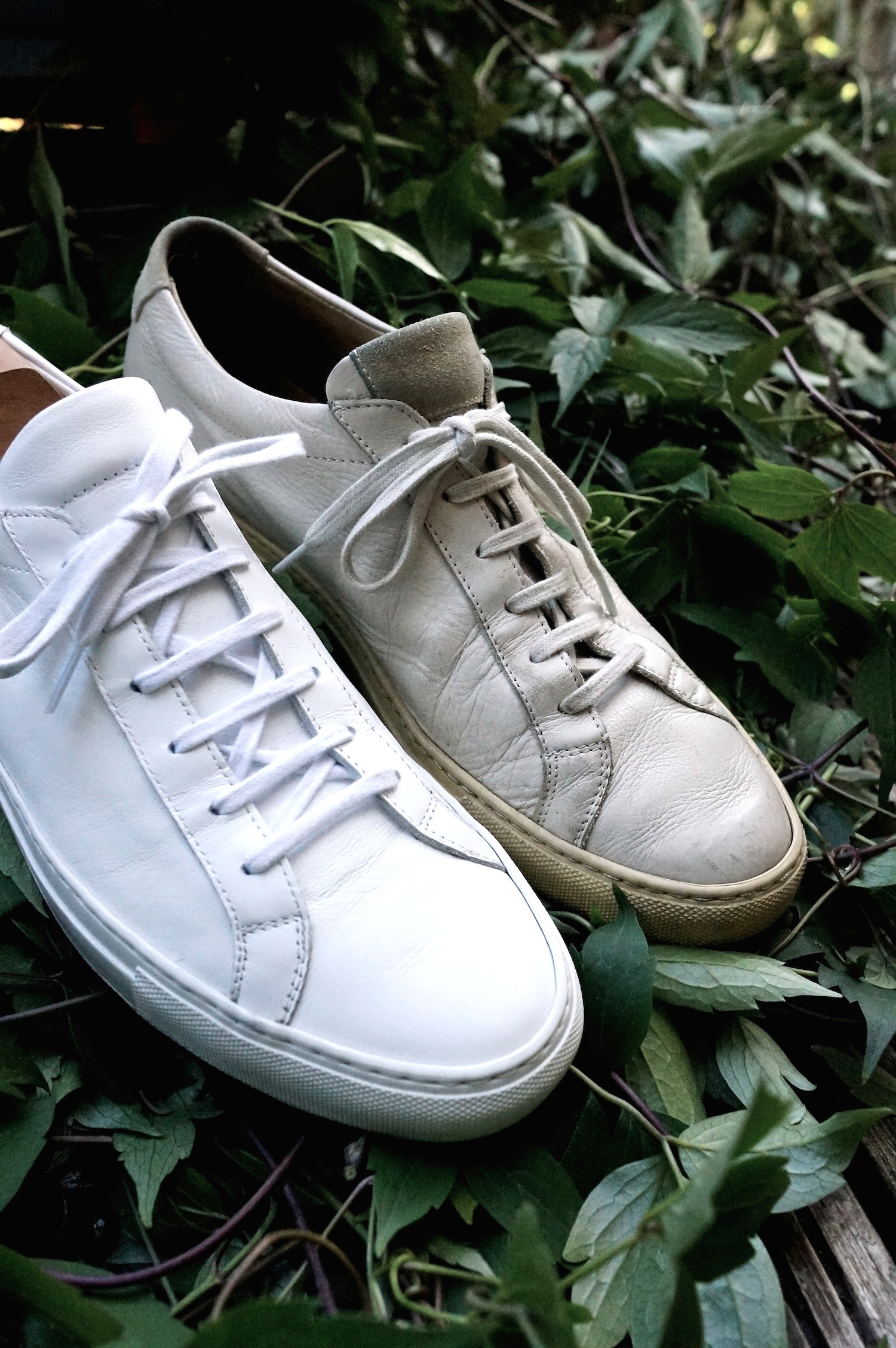 My trainers: Common Projects – Permanent Style