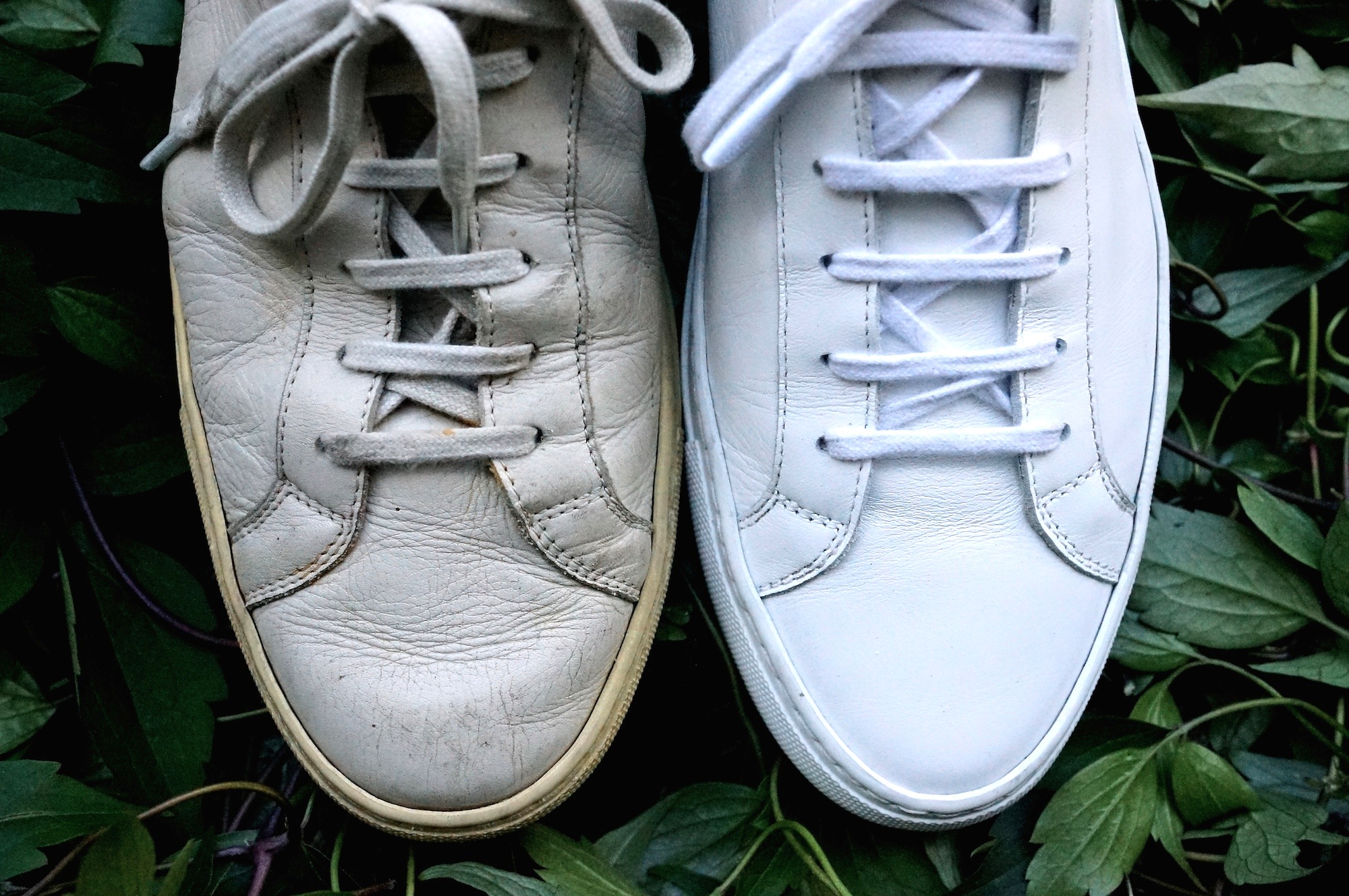 common projects shoelaces