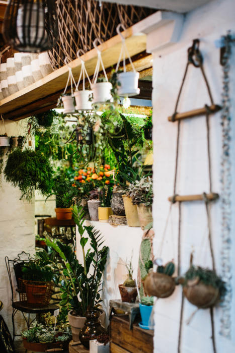 flower-shop-peckham