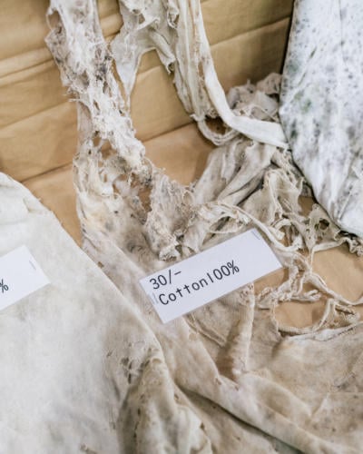how cotton biodegrades