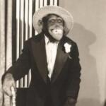 El Chango